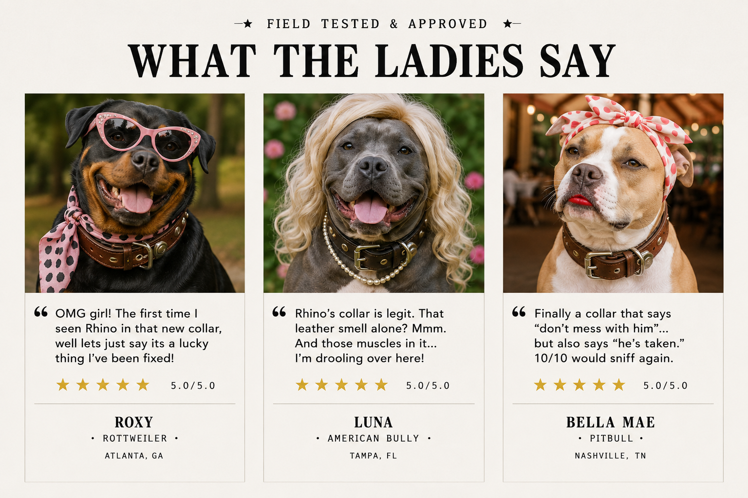 Comedic fictional dog testimonials featuring a Rottweiler in pink sunglasses, an American Bully in a blonde wig, and a Pitbull wearing lipstick and a head scarf